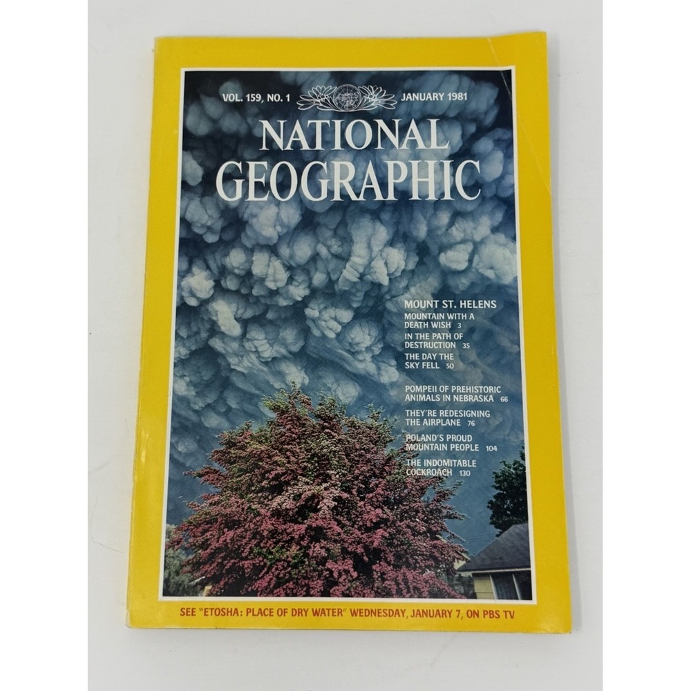 National Geographic January 1981 Mount St Helens | Pompeii | Cockroaches
